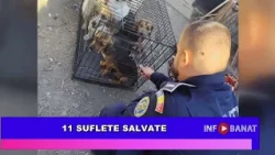 11 suflete salvate