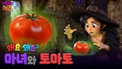 토마토는 마녀가 만든 열매?ㅣ토마토ㅣ왜요? 왜요? 만두와 음식 탐험ㅣKBS 260723 방송