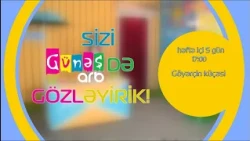 “Göyərçin küçəsi” – həftə içi hər gün, saat 17:00-da "ARB Günəş"də🌞