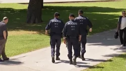 More Presence: "Linz Is Short 100 Police Officers"