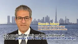 Vice president of Belt and Road Institute in Sweden praises GDI's new development paradigm