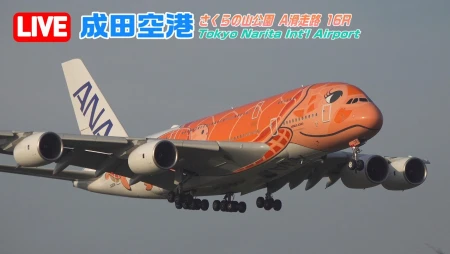 Tokyo Narita Airport Plane Spotting