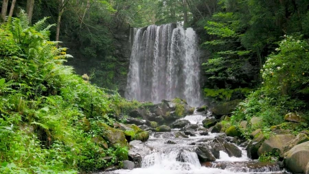 Mountain Forest Waterfall - Relaxing Water Sounds