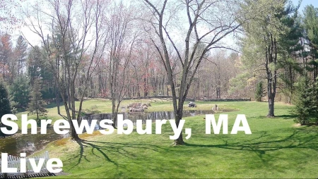 Shrewsbury - Scenic Pond and Trees