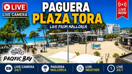Pacific Bay Restaurant Mallorca Live Sea View