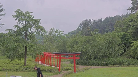 Mount Fuji from Oshino Ninja Village